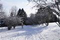 FOTO_QAP_CZ (29)