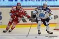 FOTO_Pavel Němeček (1)