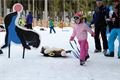 Foto Ski&Bike Špičák (4)