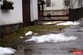 FOTO_QAP_CZ (11)