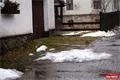 FOTO_QAP_CZ (11)