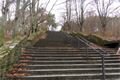 SDC11497