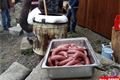 Zabijačka na plovárně (12)