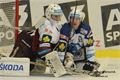 Foto Pavel Němeček (13)