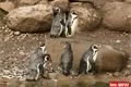ZOO PLZEŇ