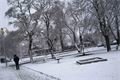 FOTO_QAP_CZ (15)
