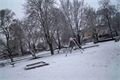 FOTO_QAP_CZ (18)