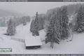 Foto_www.sumavanet.cz_Železná Ruda_údolí řeky Řezná