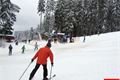 Špičák 3_3_2016 (2)