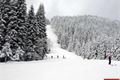 Špičák 3_3_2016 (4)