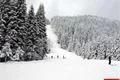 Špičák 3_3_2016 (4)