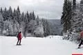 Špičák 3_3_2016 (6)