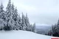 Špičák 3_3_2016 (13)