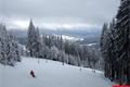 Špičák 3_3_2016 (14)