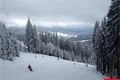 Špičák 3_3_2016 (14)