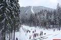 Špičák 3_3_2016 (15)