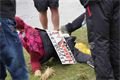 FOTO_QAP_CZ (27)