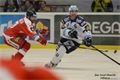 FOTO_Pavel Němeček (5)