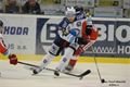 FOTO_Pavel Němeček (8)