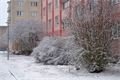 FOTO_QAP_CZ (2)
