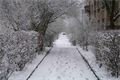 FOTO_QAP_CZ (5)