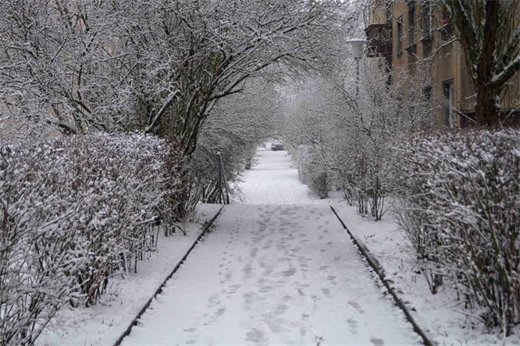 FOTO_QAP_CZ (5)