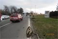 FOTO_PČR (2)