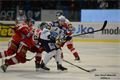 Foto Pavel Němeček (4)