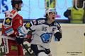 Foto Pavel Němeček (15)