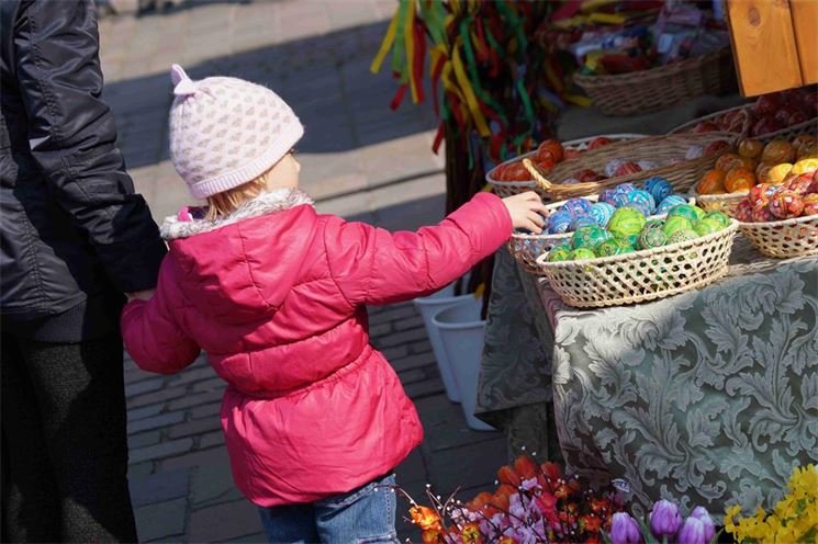 FOTO_QAP_CZ (32)