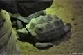 zoo_plzen_velikonoce (2)