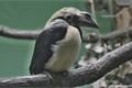zoo_plzen_velikonoce (3)