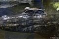 zoo_plzen_velikonoce (8)