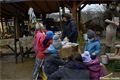 zoo_plzen_velikonoce (17)