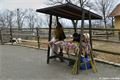 zoo_plzen_velikonoce (27)