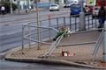 FOTO_QAP_CZ (3)