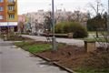 FOTO_QAP_CZ (1)