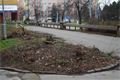 FOTO_QAP_CZ (2)