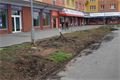 FOTO_QAP_CZ (4)
