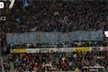 FOTO_ Pavel Němeček (1)