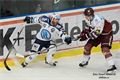 FOTO_ Pavel Němeček (5)