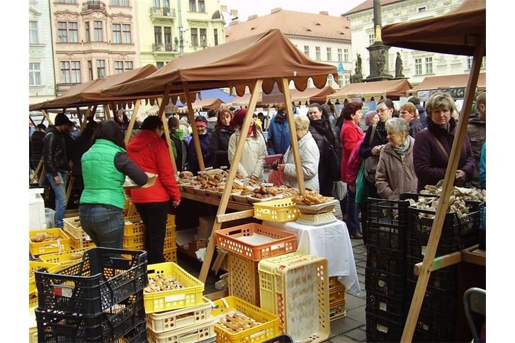 FOTO_ Jaroslav Kreisinger (45)