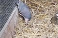 IMG_20160415_105046