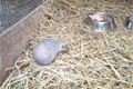 IMG_20160415_104911