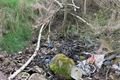 15.4. 2016 uklid Doubravka (2)