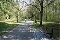 Borskypark_cesty2