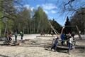 Borskypark_cesty3