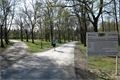 Borskypark_cesty1