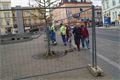 FOTO_QAP_CZ (4)
