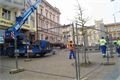 FOTO_QAP_CZ (5)